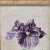 Set of 9 Japanese Iris Floral Art Prints Art Prints UK