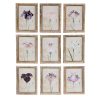 Set of 9 Japanese Iris Floral Art Prints Art Prints UK