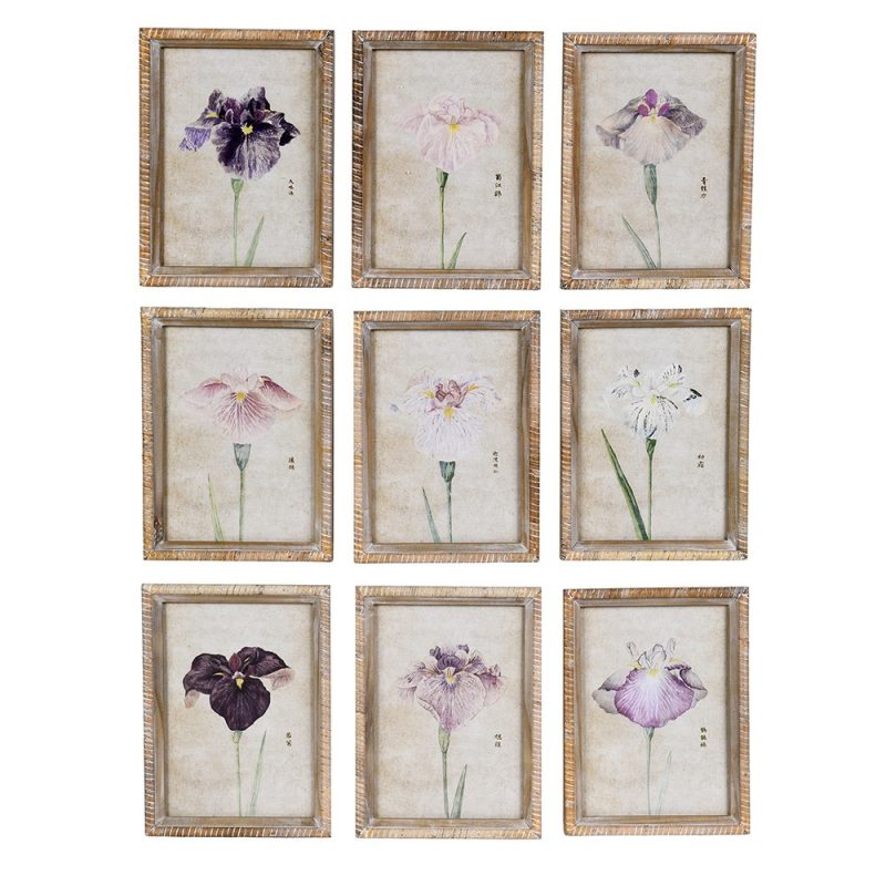 Set of 9 Japanese Iris Floral Art Prints Art Prints UK