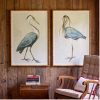 Set Of Two Framed Blue Birds Prints Birds Prints UK