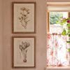 Set Of Six Botanical Framed Prints Framed Prints UK