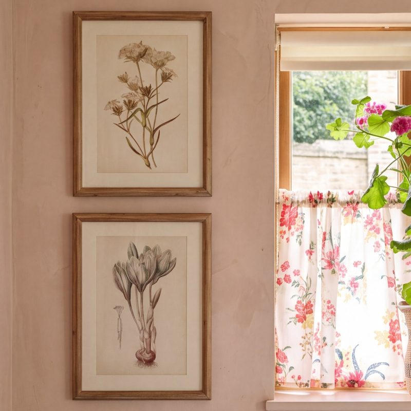 Set Of Six Botanical Framed Prints Framed Prints UK